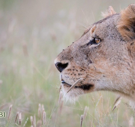 05Terry Ennever Sparta 21317 1 Final 05Terry Ennever Sparta 21317 1 Final