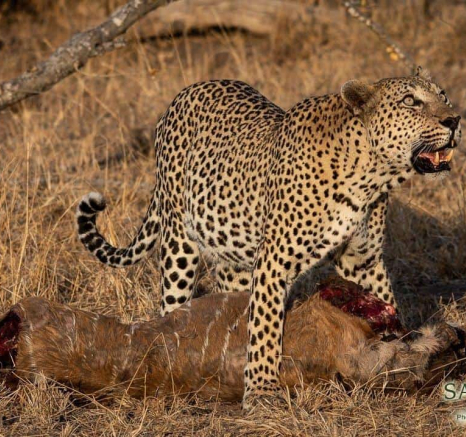 05Kerry Lee Roberg Max01 Final 05Kerry Lee Roberg Max01 Final