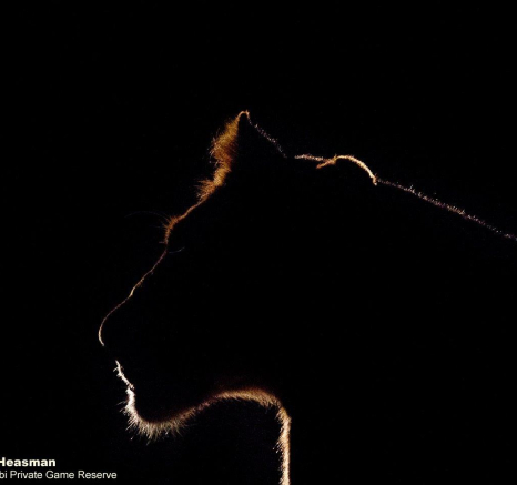 27Greg Heasman Styx 020920 4 Final 27Greg Heasman Styx 020920 4 Final