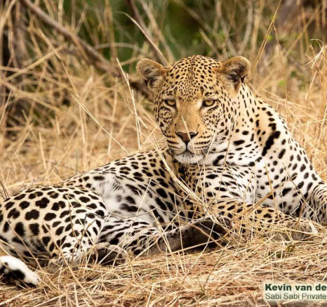 10Kevin Van Der Linde White Dam 24102019 3 Final