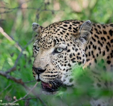 A29Ronald Mutero Dewane 12122021 4 Final A29Ronald Mutero Dewane 12122021 4 Final