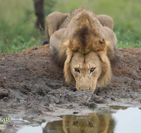 15Terry Ennever Avoca 28218 3 Final