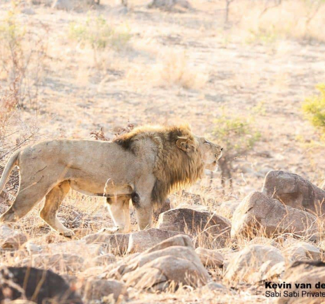 30Kevin Van Der Linde Othowa 20102019 2 Final