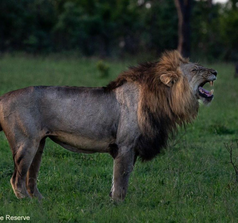 A11Ronald Mutero Stix And Nwash 12122021  4 Final A11Ronald Mutero Stix And Nwash 12122021  4 Final