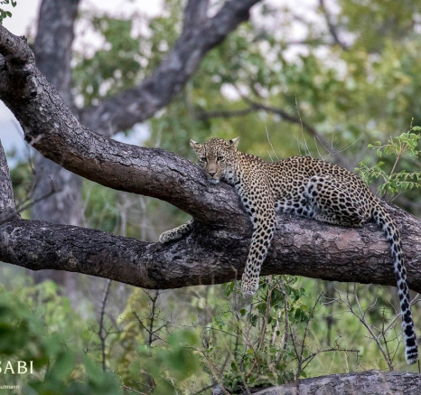 10904003 814930785221241 3393482218155701063 O