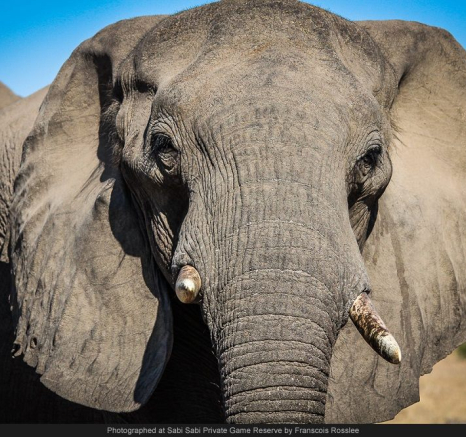 10544770 740723685975285 5053953126335168696 O