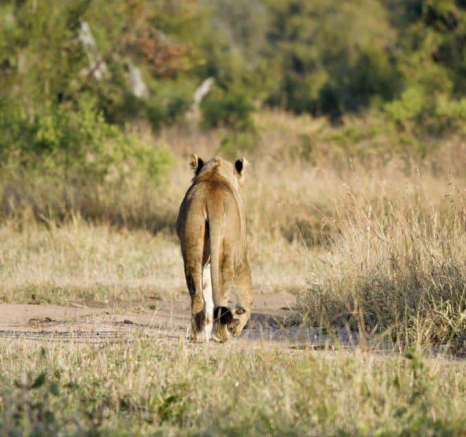 19Stefan Schoeman Nkuhuma Styx 28052020 6 Final