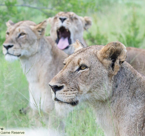 A04ronald Mutero Mhangeni 23012022 3 Final