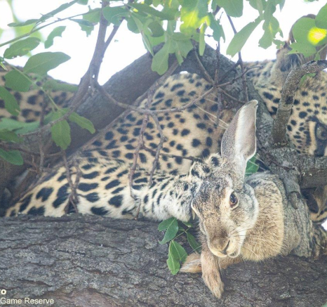 A11ronald Mutero Golonyi 09022022 2 Final