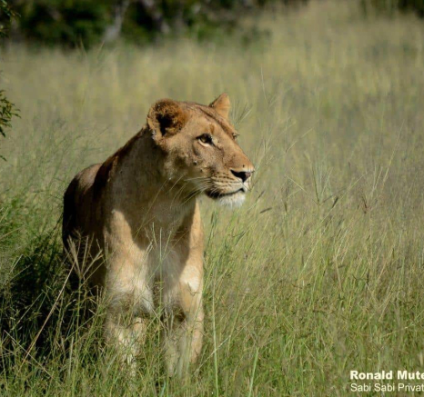 04Ronald Mutero Sp Females 08022020 7 Final