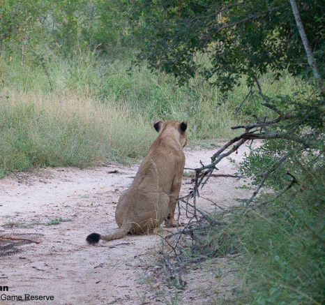 50Greg Heasman Sp 31032020 Final 50Greg Heasman Sp 31032020 Final