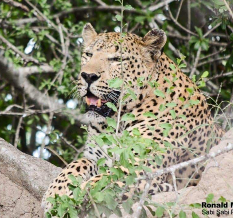 14Ronald Mutero Max 03022020 12 Final 14Ronald Mutero Max 03022020 12 Final