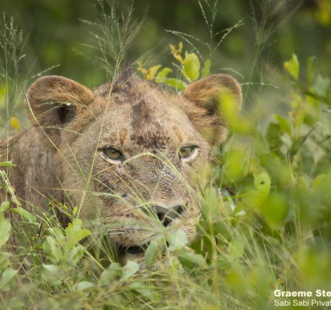 25Graeme Stewart Khumbula 060221 Final