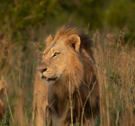 38Tyron Van Der Walt NWashishaka Males 210420 1 Final