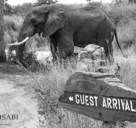 10984518 806969206017399 7947841059986866531 O