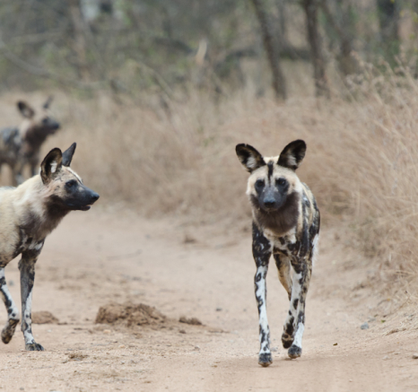 Week In Pictures 22 Week In Pictures 22