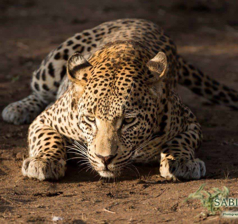 24Terry Ennever WD 2018512 Final 24Terry Ennever WD 2018512 Final