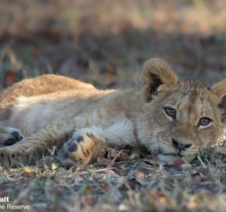 A23Tyron Van Der Walt Styx 260921 2 Final A23Tyron Van Der Walt Styx 260921 2 Final