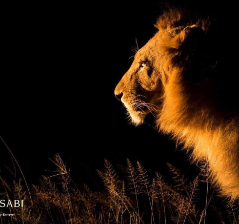 08Terry Ennever Avoca 13318 1 Final