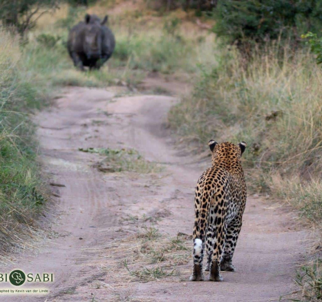 26Kevin Van Der Linde White Dam 18042019 Final