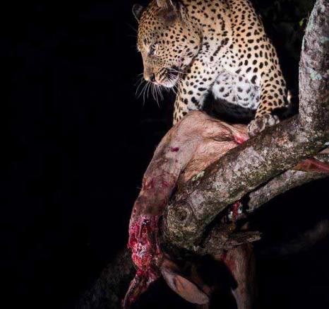 32Terry Ennever MaxMsuthu 23318 Final