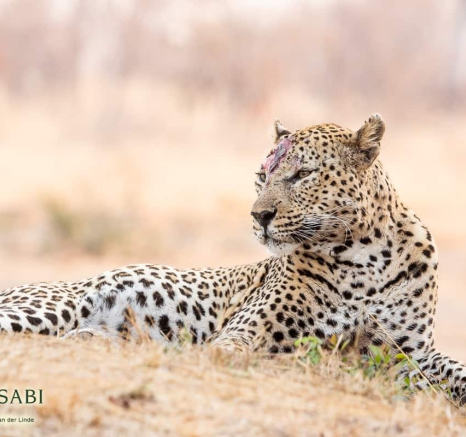09 Kevin Van Der Linde Maxabeni White Dam 13082019 7 FINAL 09 Kevin Van Der Linde Maxabeni White Dam 13082019 7 FINAL