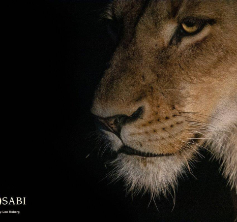 03Kerry Lee Roberg SP2010.1 Final 03Kerry Lee Roberg SP2010.1 Final