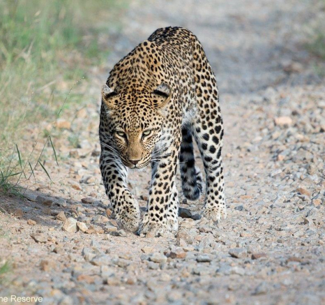 A20ronald Mutero Golonyi 29112022  3 Final