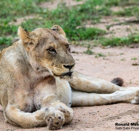 36ronaldmutero Stix 22112020  6 Final 36ronaldmutero Stix 22112020  6 Final