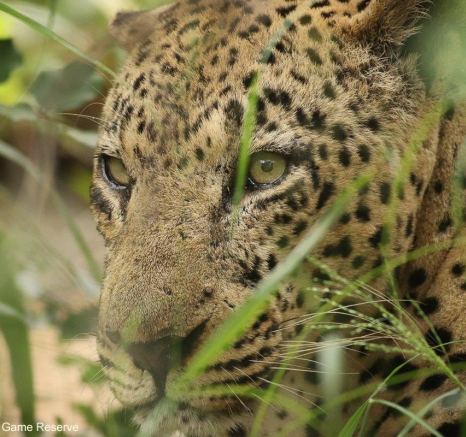 30Marco Vietti Xovo 1 090221 Final