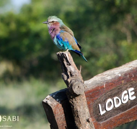 10830490 813017802079206 2350240693260833708 O