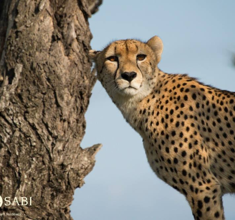 10960448 810965092284477 7596943573289426249 O