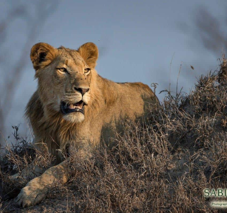 31Francois Malan SP MALE 2018826 3 Of 4 Final