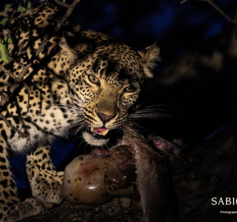 07Louise Murray Kigelia 03112018 6 Final 07Louise Murray Kigelia 03112018 6 Final