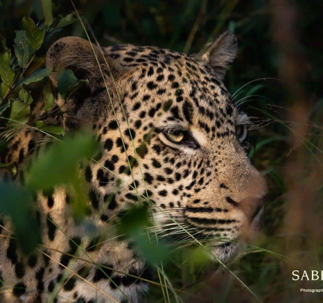 03Kerry Lee Roberg Hanyile 140419 Final