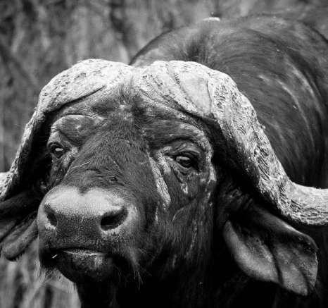 19Sheldon Hooper Stern Expression 2 19Sheldon Hooper Stern Expression 2