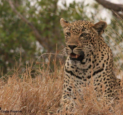 04Ruth Berning Scotia 29102019 2 Final 04Ruth Berning Scotia 29102019 2 Final