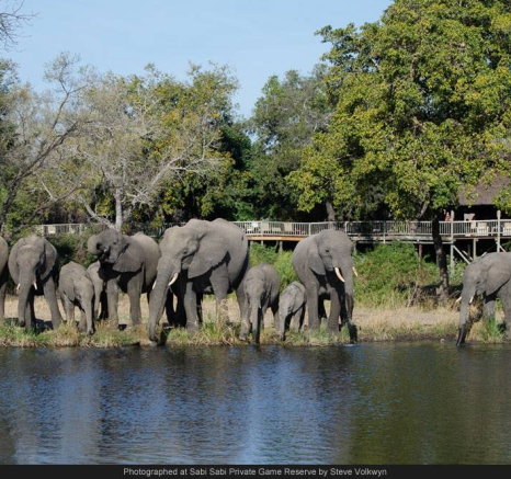 10682203 739068179474169 1293160762101640449 O