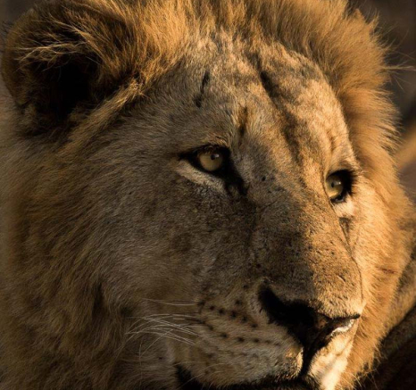 03Sheldon Hooper Charleston Males In The Morning 3