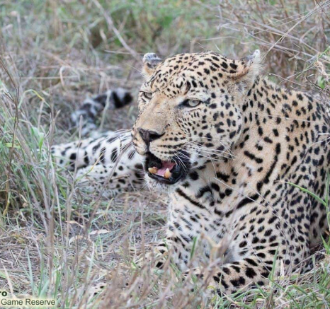 20ronald Mutero Dayone 18112020 7 Final 20ronald Mutero Dayone 18112020 7 Final