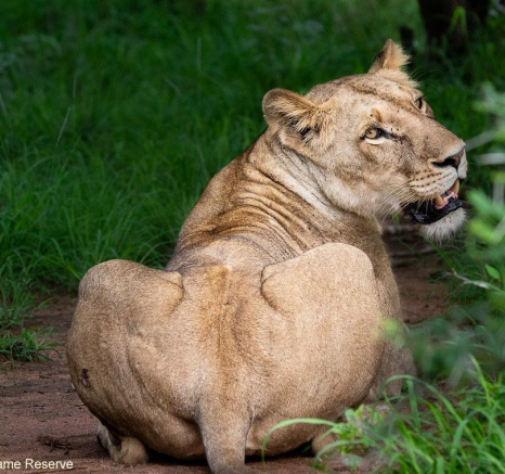 A03ronald Mutero Sp 08122021 3 Final A03ronald Mutero Sp 08122021 3 Final