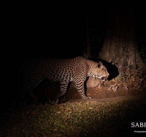 14Kevin Van Der Linde White Dam 02082019 Final 14Kevin Van Der Linde White Dam 02082019 Final