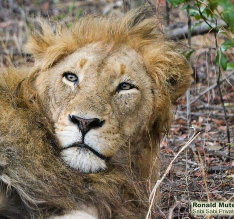 23Ronald Mutero Otawa Male 01102019 7 Final 23Ronald Mutero Otawa Male 01102019 7 Final