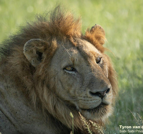 26Tyron Van Der Walt NWashishaka Males 110221 4 FINAL 2 26Tyron Van Der Walt NWashishaka Males 110221 4 FINAL 2