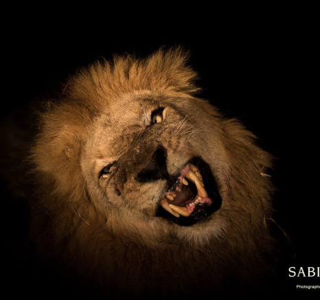 10Franscois Rosslee Matimba2 1 Of 1 Final