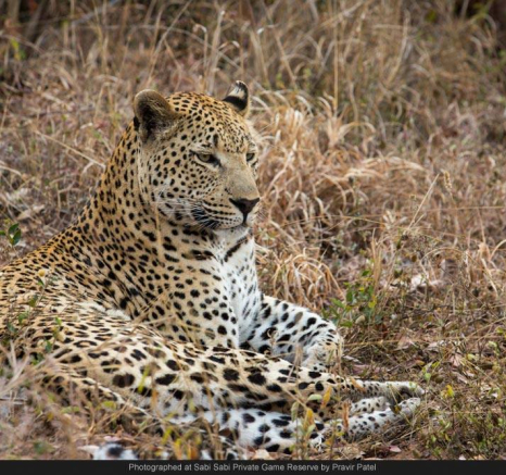 10515084 702388279808826 7745579545047359553 O