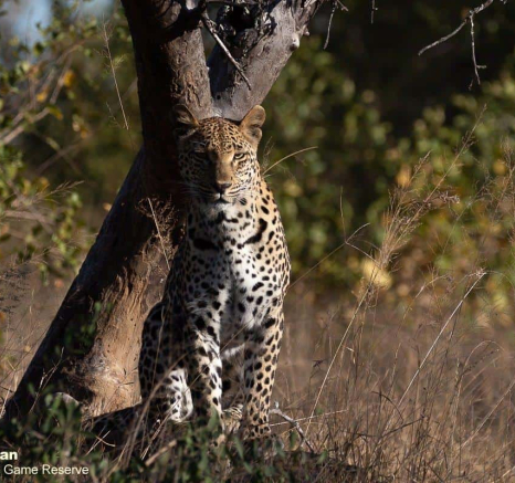 07Brett Heasman Ntsumi 27052020 3 Final