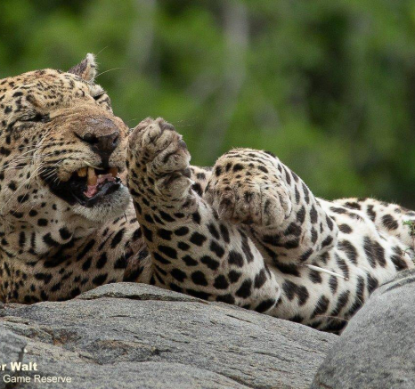 18Tyron Van Der Walt Xovo 301020 2 Final