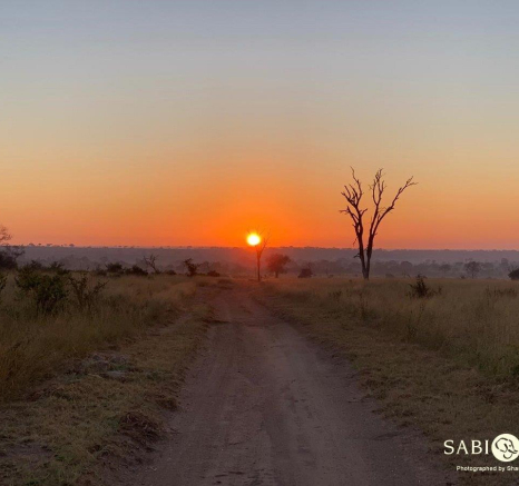 03Shaun Jenkinson Sunrise 01052019 Final 03Shaun Jenkinson Sunrise 01052019 Final