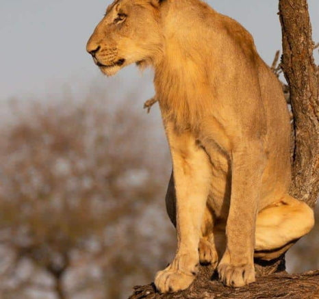 03Louise Murray Sp 06062019 5 Final 03Louise Murray Sp 06062019 5 Final